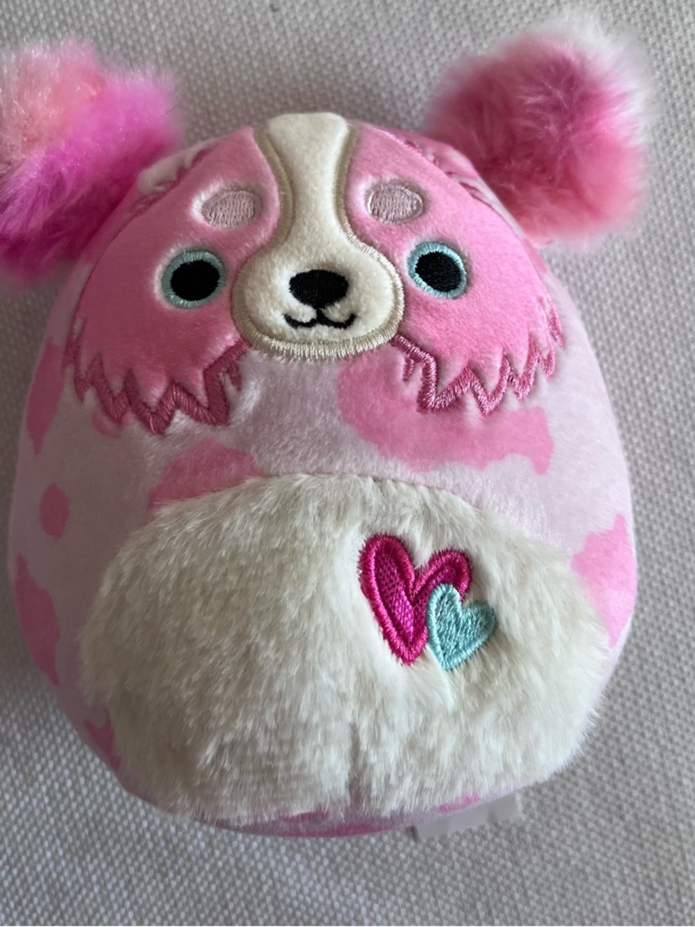 Squishmallow Mangis the Australian shepherd valentine edition